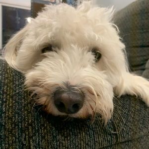 Meet your Posher, Jaime